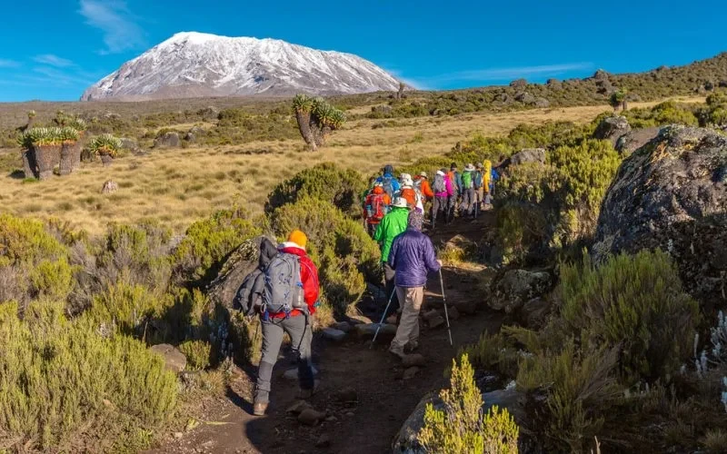 Climb Mount Kilimanjaro