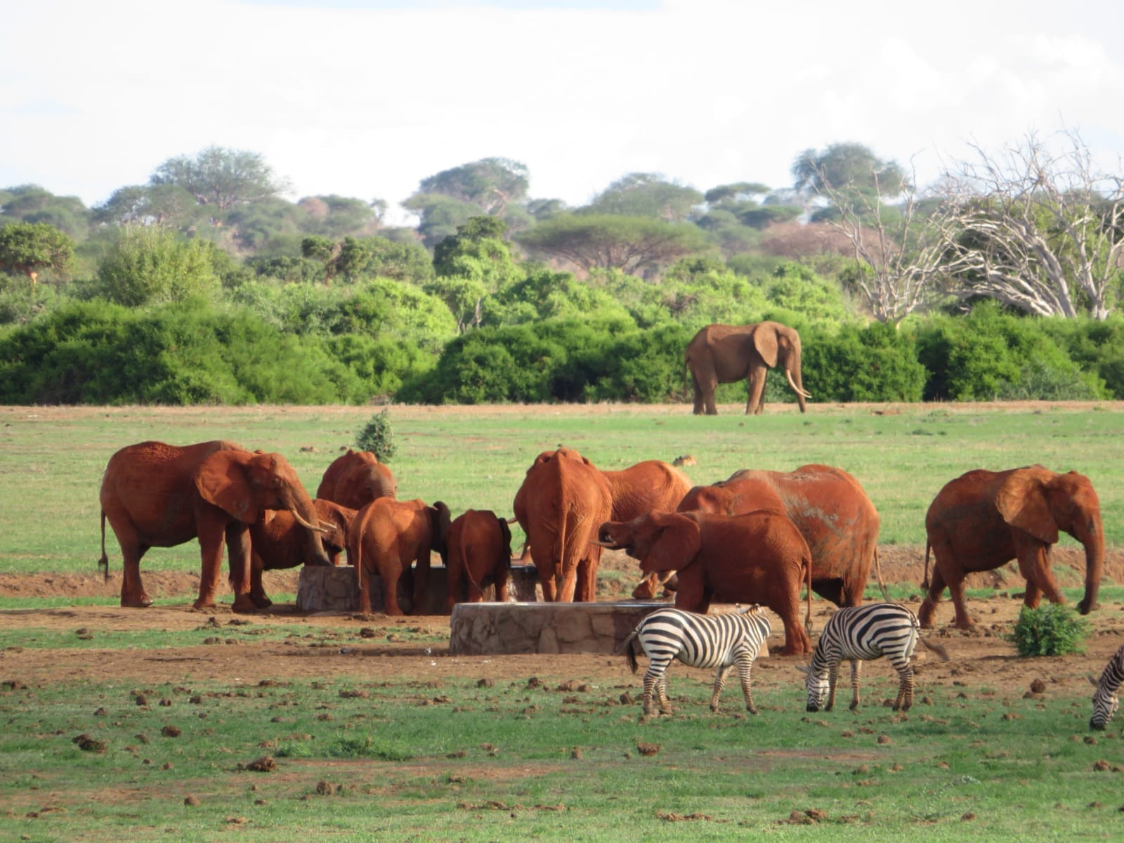 Explore Safari Destinations in Kenya