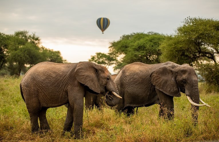 Tarangire National Park